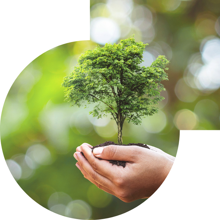 关怀人类、文化、环境与社会